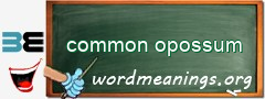 WordMeaning blackboard for common opossum